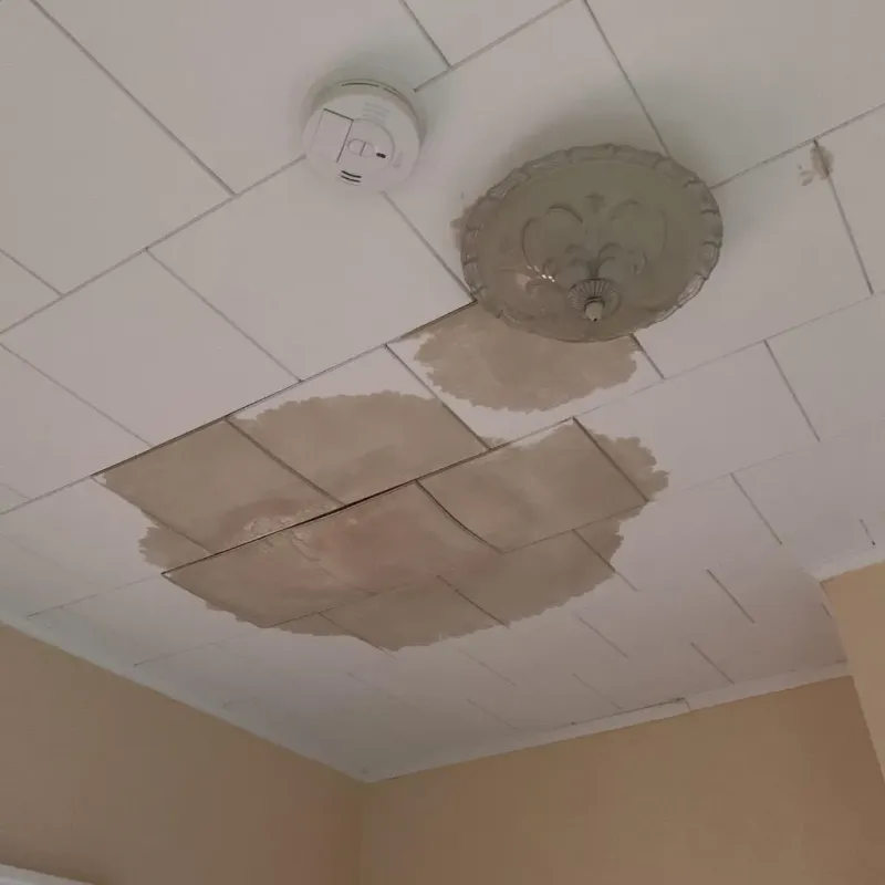 Ceiling Water Damage Repair in McLoud, OK