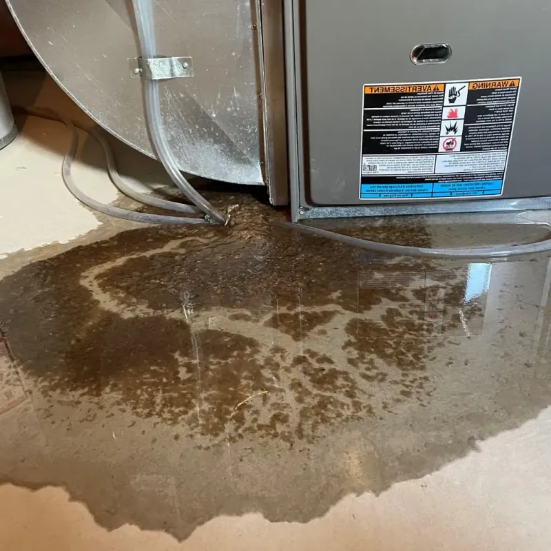 Pipe Burst and Leak Restoration in McLoud, OK
