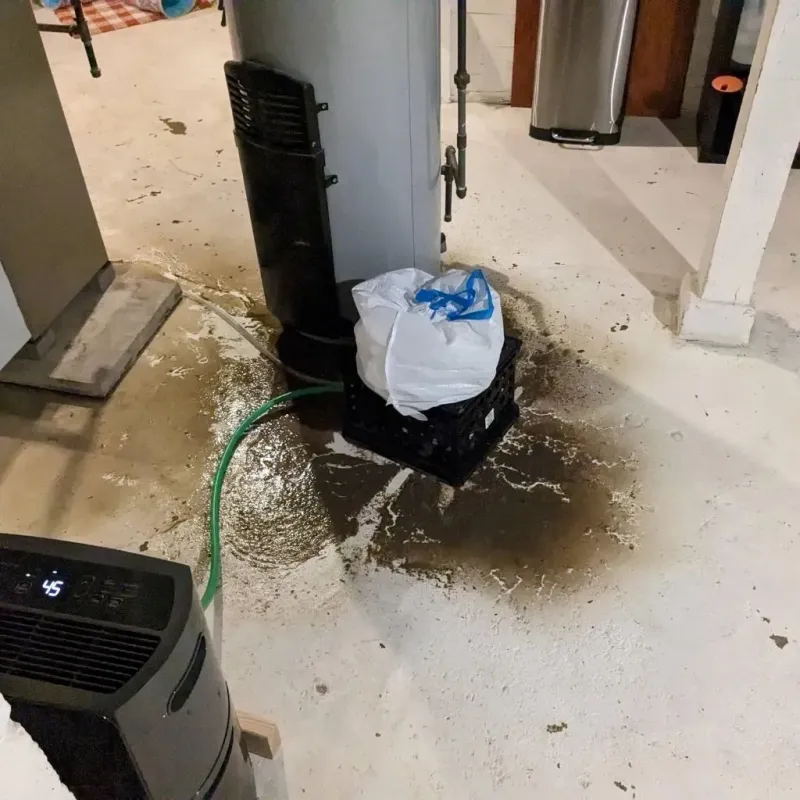 Sewage Backup Cleanup Service in McLoud, OK